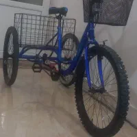 سه چرخه سایز بزرگسال