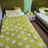 تخت خواب نوجوان و کودک|تخت و سرویس خواب|امیدیه, |دیوار