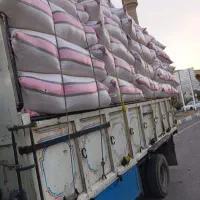 کاه دیم کردستان