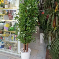 درختچه مصنوعی خارجی|گل مصنوعی|رباط‌کریم, رباط‌کریم|دیوار