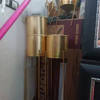 گلدان طلایی|گل و گیاه طبیعی|اهواز, کوی بشارت|دیوار