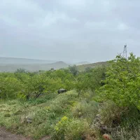 باغ عالی با ویو خاص در اسکو|فروش خانه و ویلا|اسکو, |دیوار