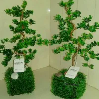 درخچه های تزیینی|گل مصنوعی|همدان, |دیوار