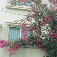 ویلا سند دار در شیرود
