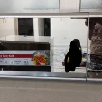 مایکروفر الجی