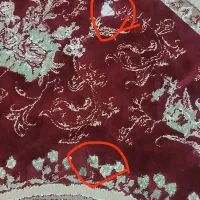دو عدد فرش شش متری|فرش|قم, قلعه کامکار|دیوار