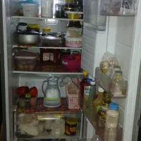 یخچال الکترو استیل ویک عدد پرده پذیرایی|پرده، رانر، رومیزی|رشت, عینک|دیوار