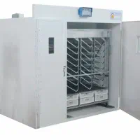 جوجه کشی تخم بوقلمون