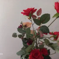 اجاره یک واحد واقع در اندیشه