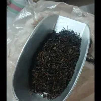 چای بهاره لاهیجان