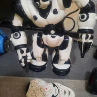 ربات