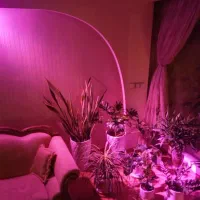 لامپ رشد گیاه ۱۲ وات|لامپ و چراغ|تهران, تهرانویلا|دیوار