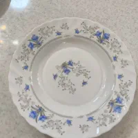 بشقاب غذا خوری