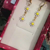 بدلیجات رنگ ثابت تضمینی|بدلیجات|کرمان, |دیوار