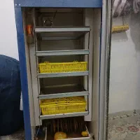 شراکت در جوجه کشی