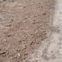 زمین مزروعی باغی جاده پهنایی