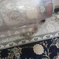 قالی ۱۲ متری درجه یک|فرش|مرودشت, بیست متری بیمارستان|دیوار
