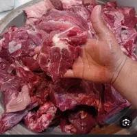 گوشت گوساله یخی و باز