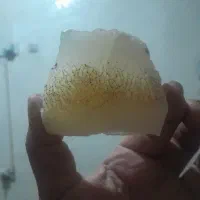 اپال|جواهرات|اهواز, کوی مهدیس|دیوار