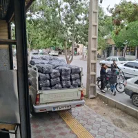 ذغال کبابی شل