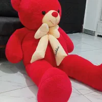 خرس بزرگ نو تروتمیز