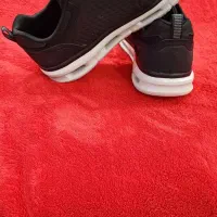 کتونی اسکیچرز اصل از آلمان آوردن|کیف، کفش، کمربند|تهران, شهرک کوهسار|دیوار