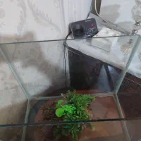 آکواریوم 50 در 40