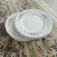 ظرف  آرکوپال