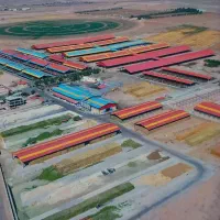 استخدام نیروی بازرگانی آقا در دامداری