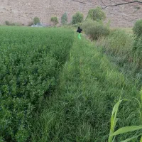 زمین|فروش زمین و ملک کلنگی|نیر (اردبیل), |دیوار