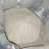 سر لاشه هاشمی خوش پخت