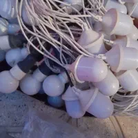 لامپ ریسه ای مناسب برای باغ و عروسی|ریسه و چراغ تزئینی|اسدآباد, |دیوار