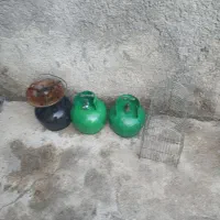 پیک نیک وقفس.|اجاق گاز و لوازم برقی پخت‌وپز|اسلام‌‌آباد غرب, |دیوار