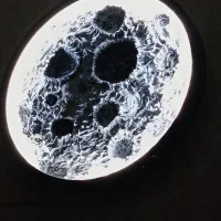 پارتنر پیاده روی