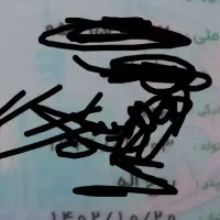 یه کیف مدارک آبی به اسم ناصرمیرزائی گمشده