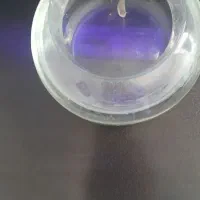 ماهی به همراه تنگ