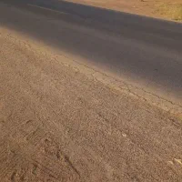 گاوداری کرایه نیازمندم