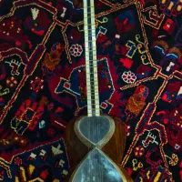 تار حرفه ای اعلا میثم علیاری