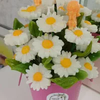 گلهای ماندگار