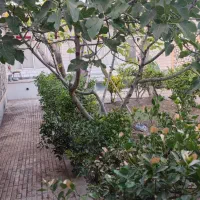 اجاره خانه ویلایی ۳۰۰ متر زمین ۱۶۰ متر بنا|اجارهٔ خانه و ویلا|گلپایگان, |دیوار