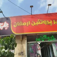 واگذاری پروتئینی