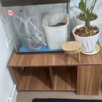 آکواریوم