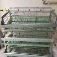 قفس مرغ تخم گذار و بلدرچین