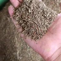 بوجاری بذر پذیرفته می‌شود|خدمات پیشه و مهارت|فسا, |دیوار