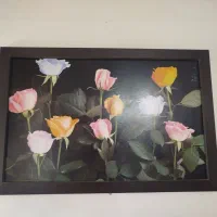 تابلو|تابلو، نقاشی، عکس|زاهدان, |دیوار