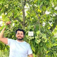 نهالستان فردا نهال