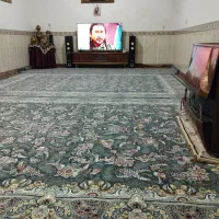 فرش درحدنو|فرش|زنجان, |دیوار