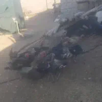 بوقلمون محلی