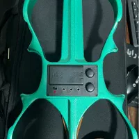 ویولن الکتریک|ویولن|گرگان, |دیوار