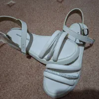 صندل فروش فوری حراجی و نیم بوت